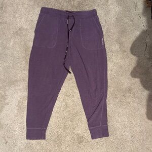 Pair of Thieves Jogger